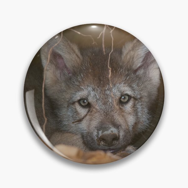 Item preview, Timber Wolf Pup designed and sold by WolvesOnly.