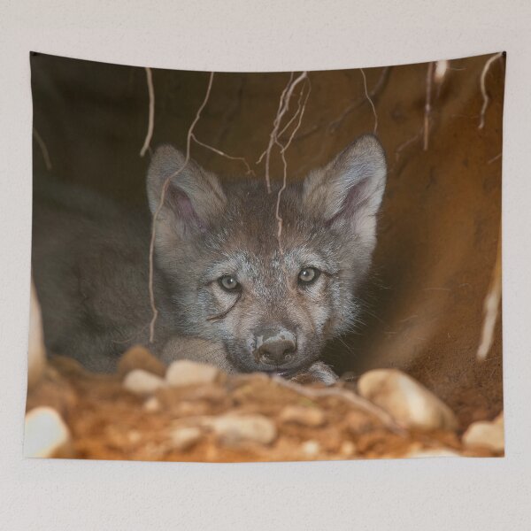 Item preview, Timber Wolf Pup designed and sold by WolvesOnly.