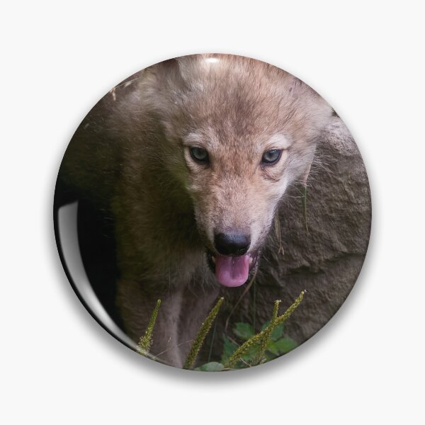 Item preview, Timber Wolf Pup designed and sold by WolvesOnly.