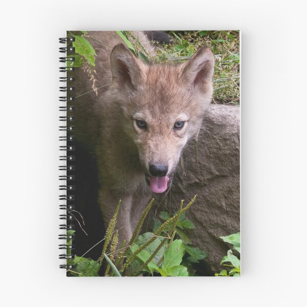 Item preview, Timber Wolf Pup designed and sold by WolvesOnly.
