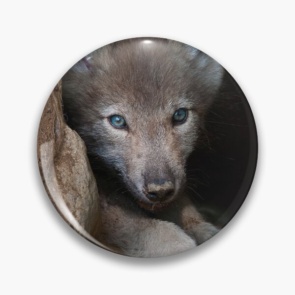Item preview, Timber Wolf Pup designed and sold by WolvesOnly.
