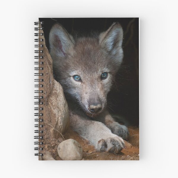 Item preview, Timber Wolf Pup designed and sold by WolvesOnly.