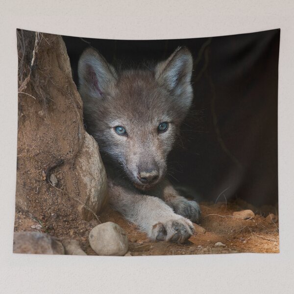 Item preview, Timber Wolf Pup designed and sold by WolvesOnly.