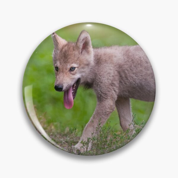 Item preview, Timber Wolf Pup designed and sold by WolvesOnly.
