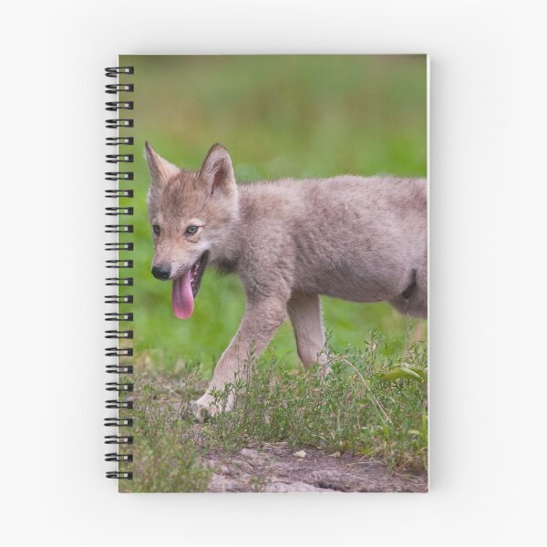 Item preview, Timber Wolf Pup designed and sold by WolvesOnly.