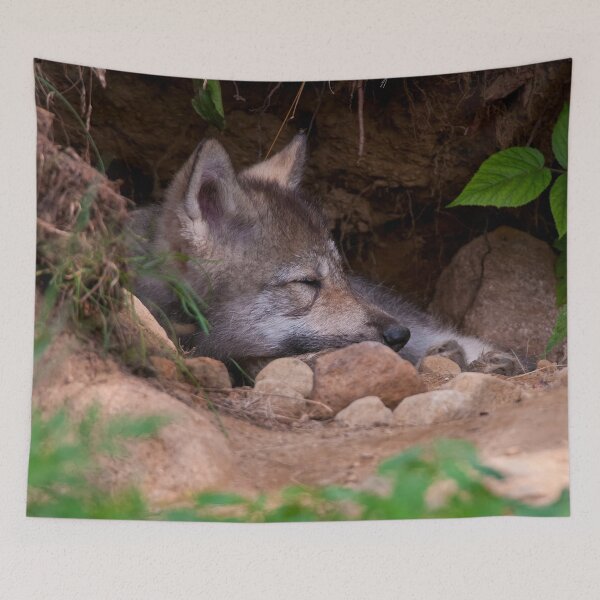 Item preview, Timber Wolf Pup designed and sold by WolvesOnly.