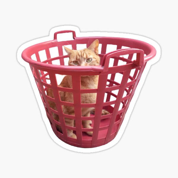 Basket Cat Sticker