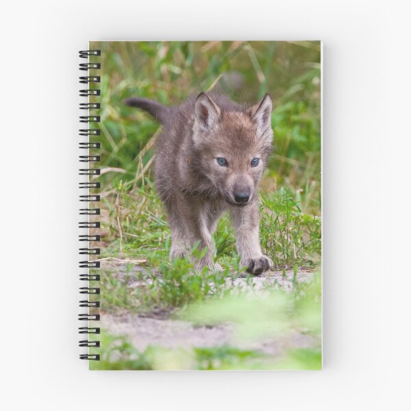 Item preview, Timber Wolf Pup designed and sold by WolvesOnly.