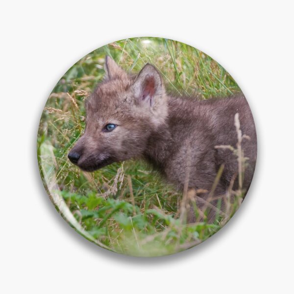 Item preview, Timber Wolf Pup designed and sold by WolvesOnly.