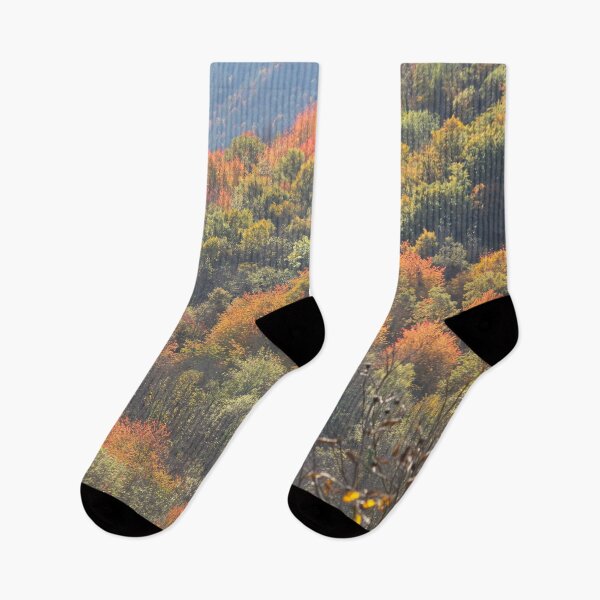 Item preview, Autumn in Ariege designed and sold by AHELENE.