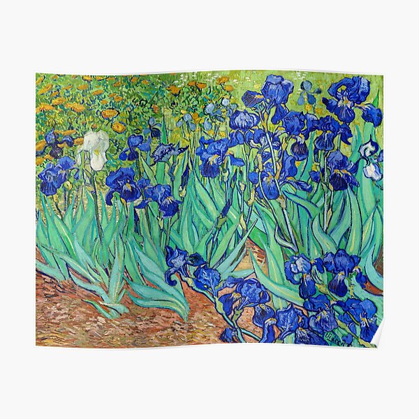 Irises - Vincent van Gogh Poster