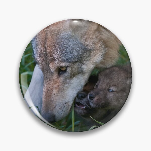 Item preview, Timber Wolf And Pups designed and sold by WolvesOnly.