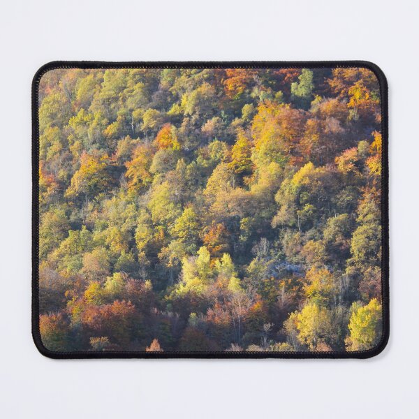 Item preview, Forest in autumn designed and sold by AHELENE.