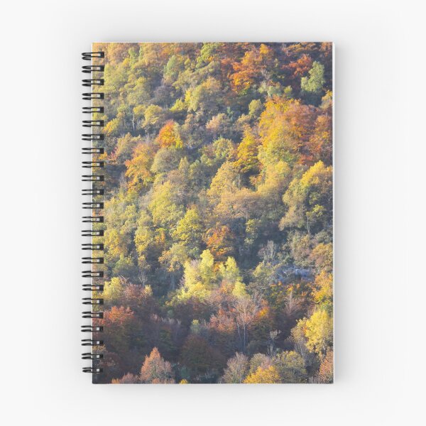 Item preview, Forest in autumn designed and sold by AHELENE.
