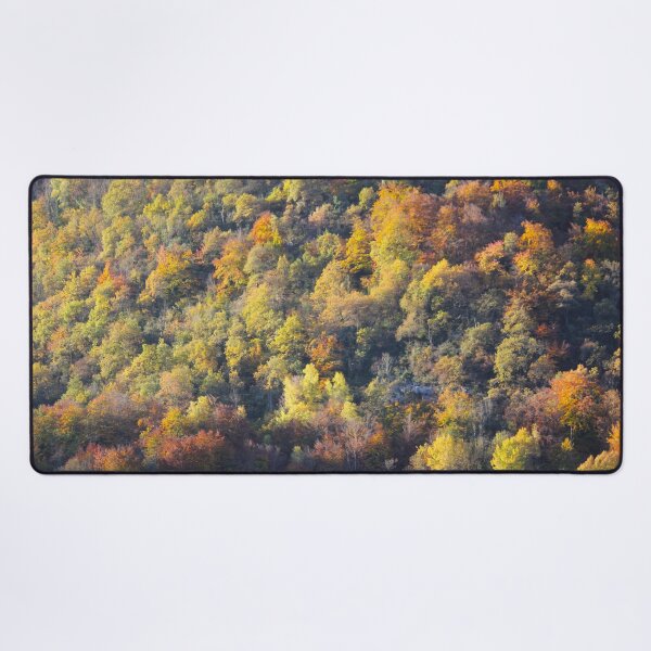 Item preview, Forest in autumn designed and sold by AHELENE.