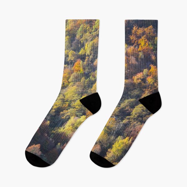 Item preview, Forest in autumn designed and sold by AHELENE.