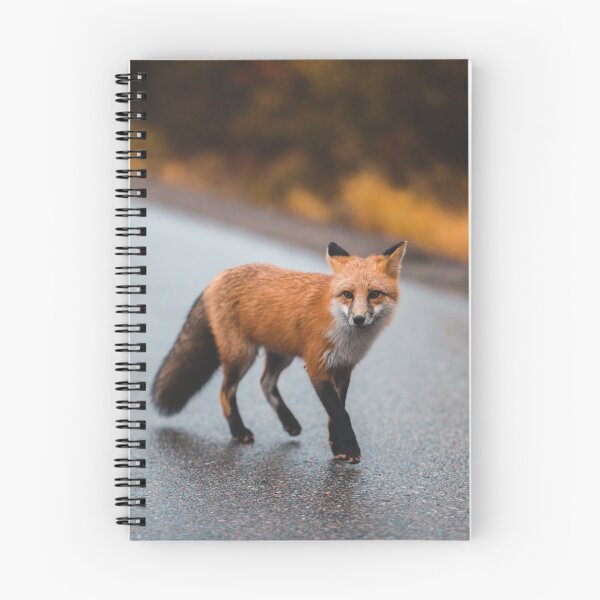 Item preview, Red Fox designed and sold by Treasure  Casket.