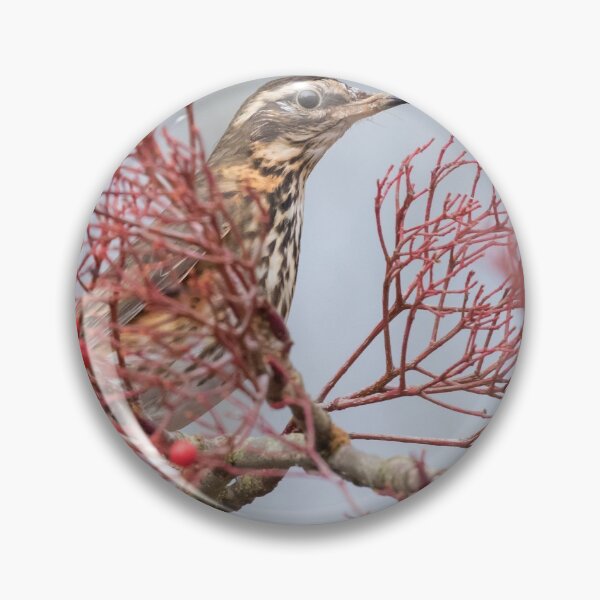 Item preview, Redwing designed and sold by LaurenTucker.