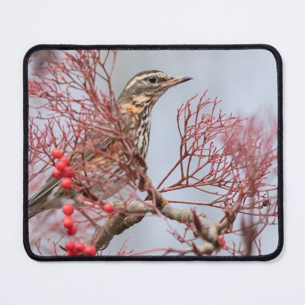 Item preview, Redwing designed and sold by LaurenTucker.