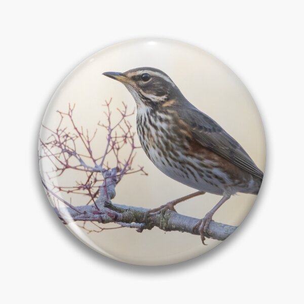Item preview, Redwing designed and sold by LaurenTucker.