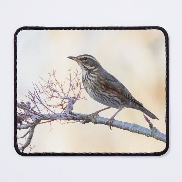 Item preview, Redwing designed and sold by LaurenTucker.