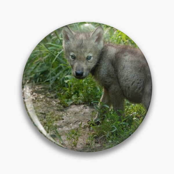 Item preview, Timber Wolf Pup designed and sold by WolvesOnly.