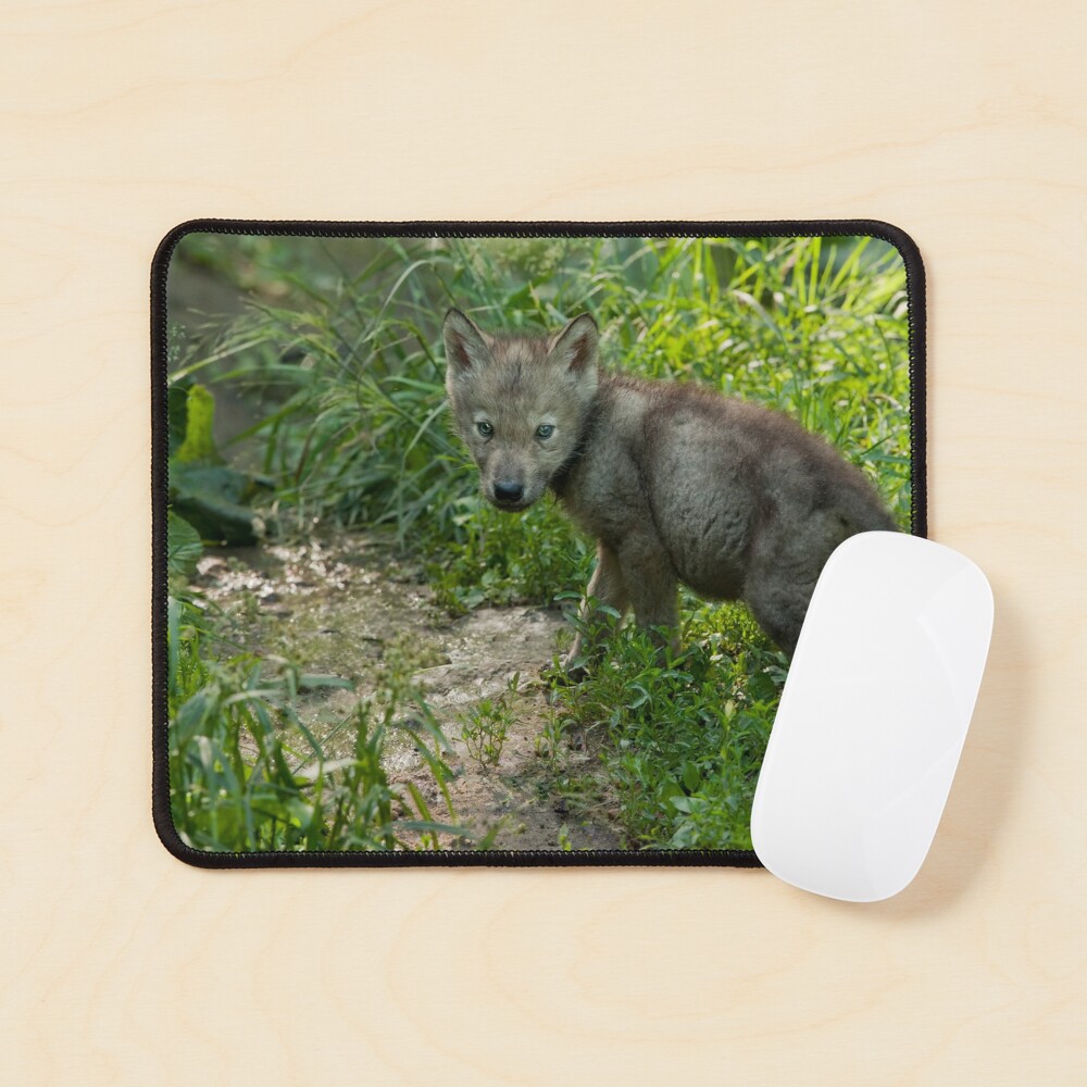 Artikel-Vorschau von Mauspad, designt und verkauft von WolvesOnly.