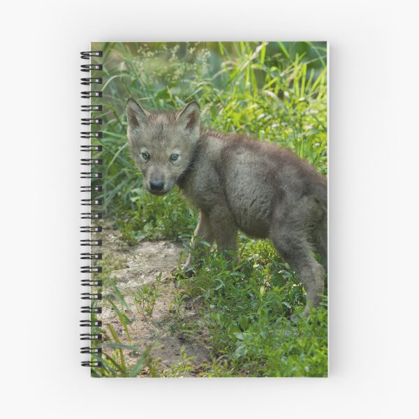Item preview, Timber Wolf Pup designed and sold by WolvesOnly.