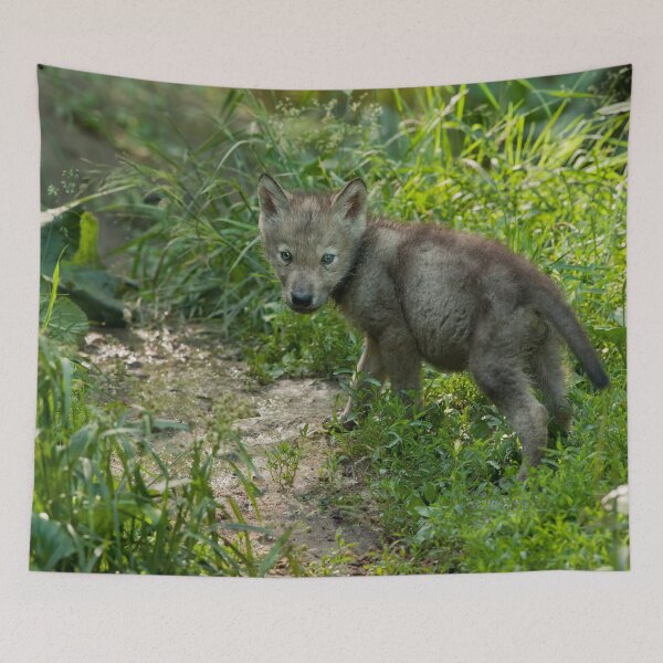 Item preview, Timber Wolf Pup designed and sold by WolvesOnly.