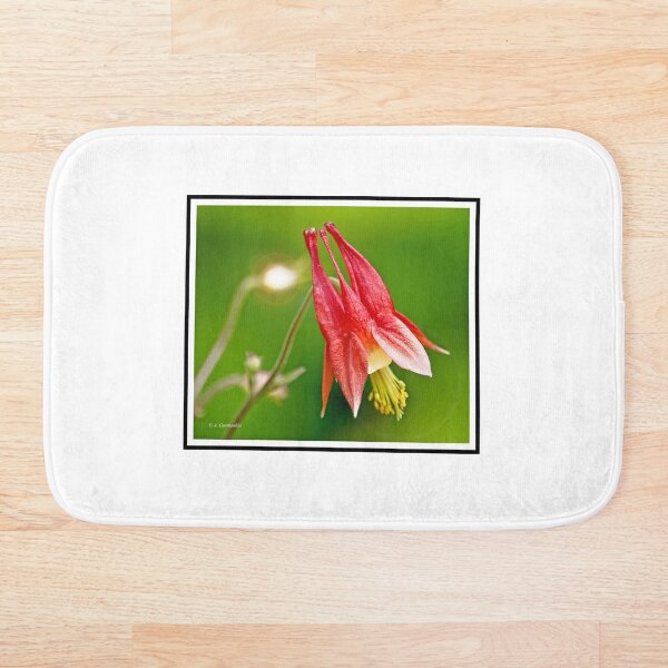 Item preview, Flor de Columbine salvaje designed and sold by AMacGPhilly.