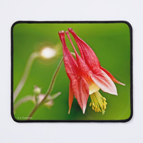 Item preview, Wild Columbine Flower designed and sold by AMacGPhilly.