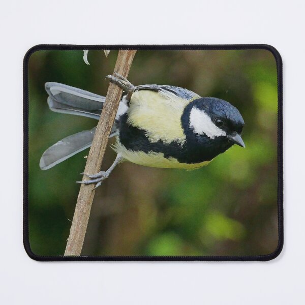 Item preview, r3323/ New finition 2021: " Les Oiseaux de mon Jardin " Okaio Créations Olavia-Olao designed and sold by o.okaïo.