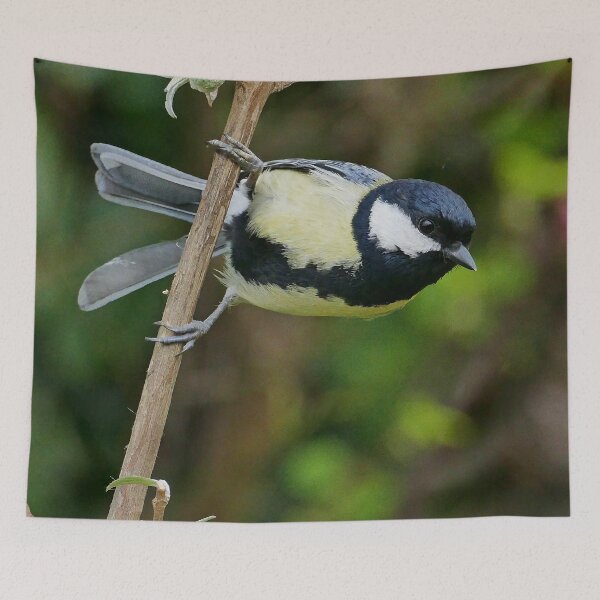 Item preview, r3323/ New finition 2021:  " Les Oiseaux de mon Jardin "   Okaio Créations Olavia-Olao designed and sold by o.okaïo.