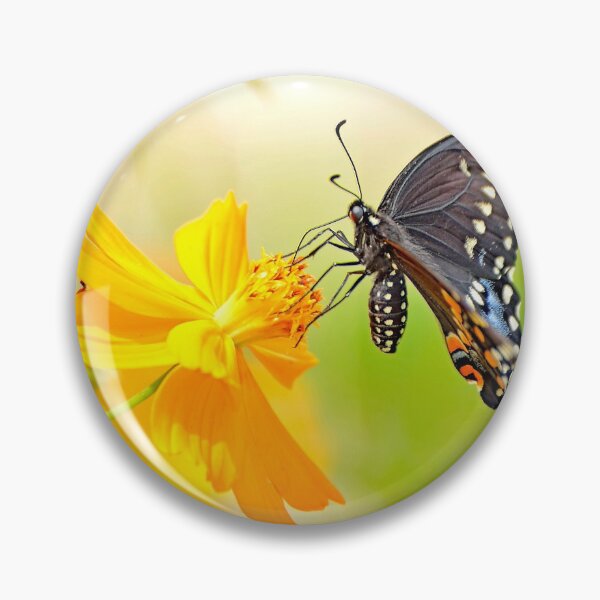 Artikelvorschau, Tiger Schwalbenschwanz Schmetterling, Kosmosblume entworfen und verkauft von AMacGPhilly.