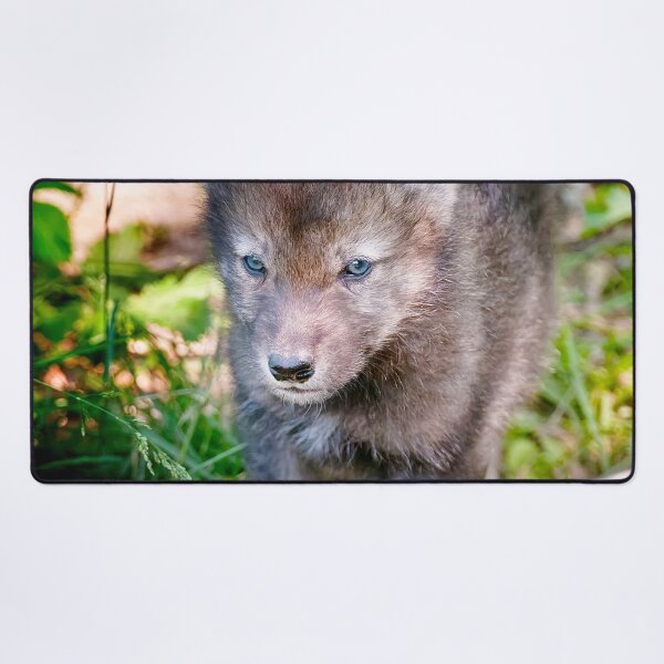 Item preview, Timber Wolf Pup designed and sold by WolvesOnly.