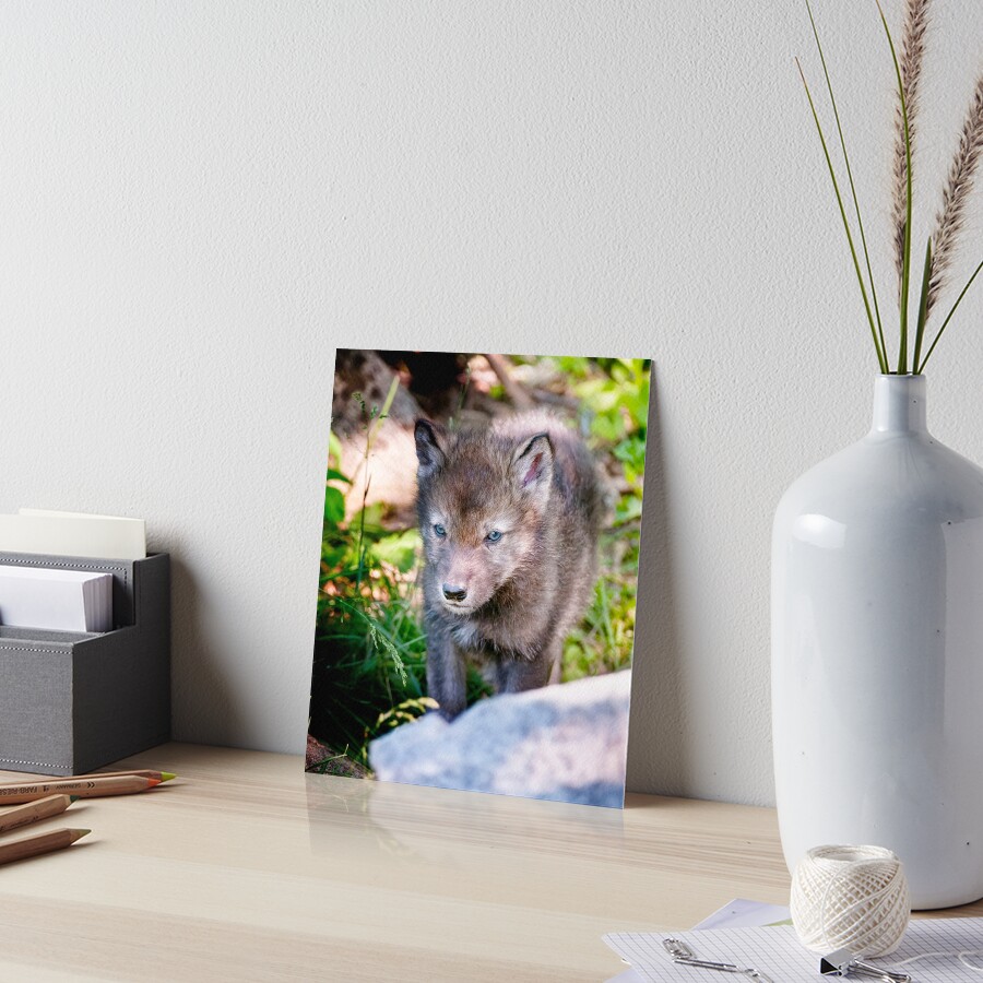 Vista previa del artículo con la obra «Lámina rígida», diseñado y vendido por WolvesOnly.
