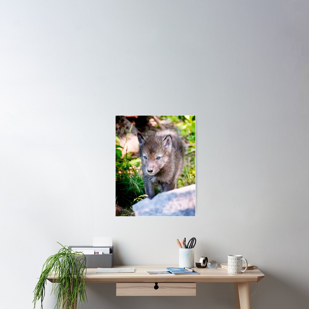 Artikel-Vorschau von Poster, designt und verkauft von WolvesOnly.