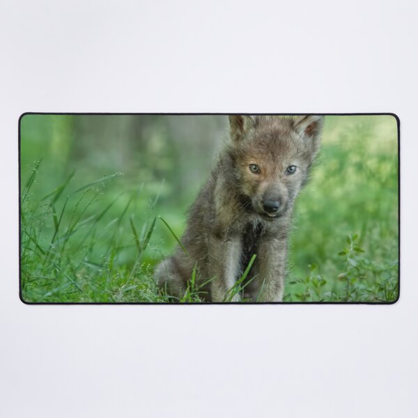 Item preview, Timber Wolf Pup designed and sold by WolvesOnly.