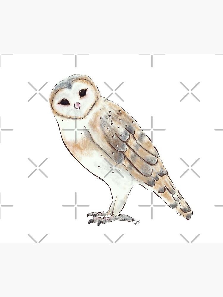 Barn Owl _ bird lovers collection_neutral palette by ebozzastudio
