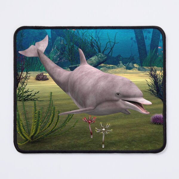 Item preview, Dolphin designed and sold by Vac1.