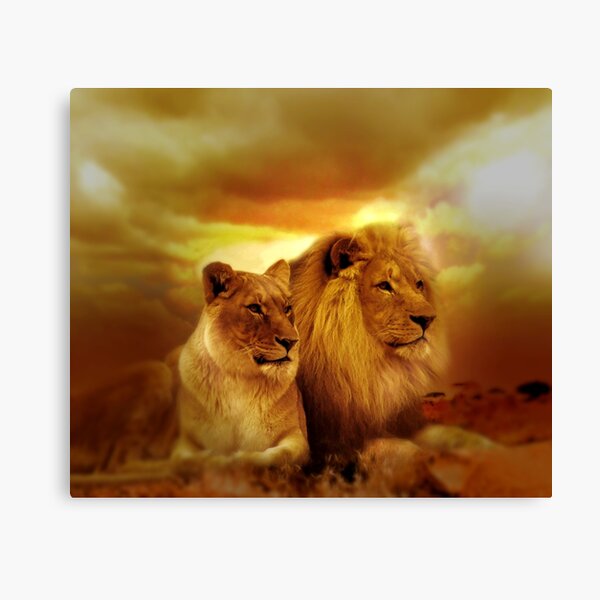 Regalos y productos: Pareja De Leones | Redbubble