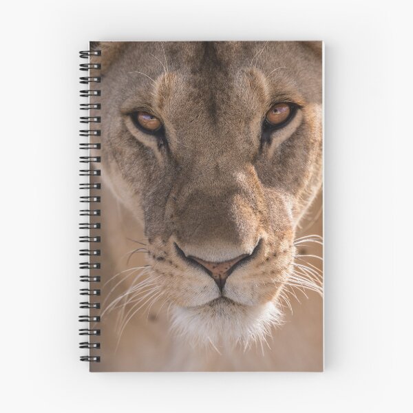 Item preview, Fierce Lioness  designed and sold by newburyboutique.