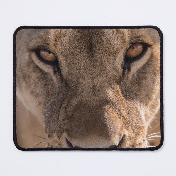 Item preview, Fierce Lioness  designed and sold by newburyboutique.