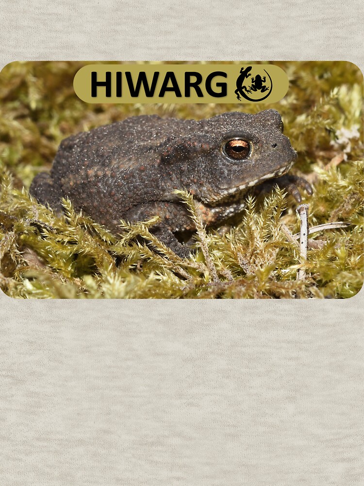 Thumbnail 7 of 7, Classic T-Shirt, Common Toad #1 designed and sold by HIWARG.