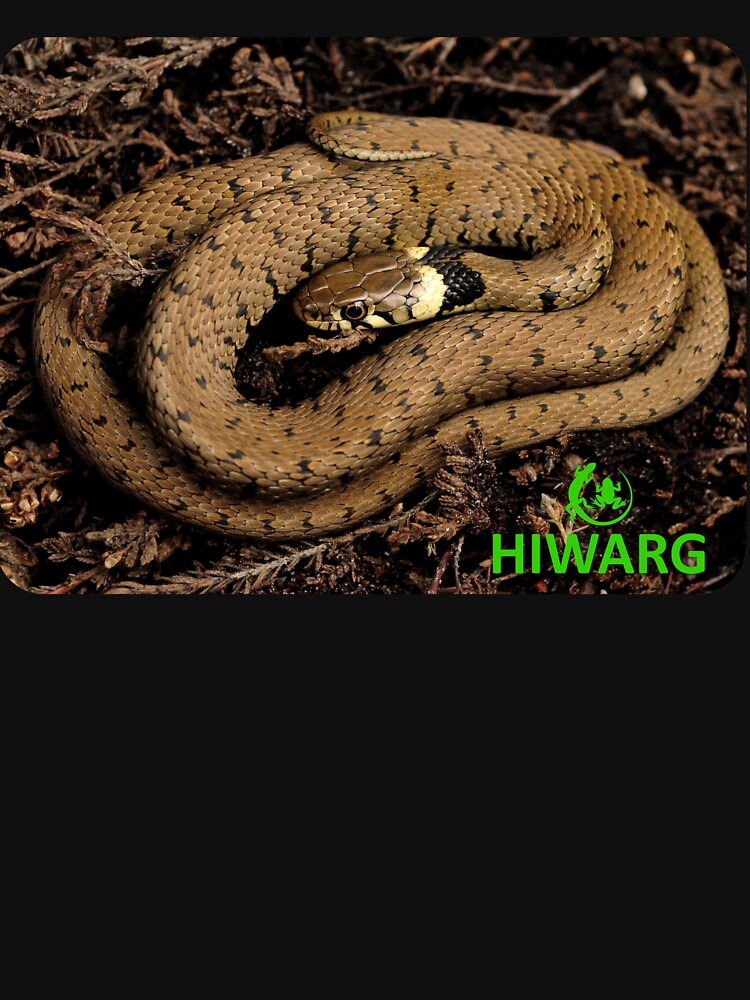 Thumbnail 7 of 7, Classic T-Shirt, Grass Snake and logo designed and sold by HIWARG.