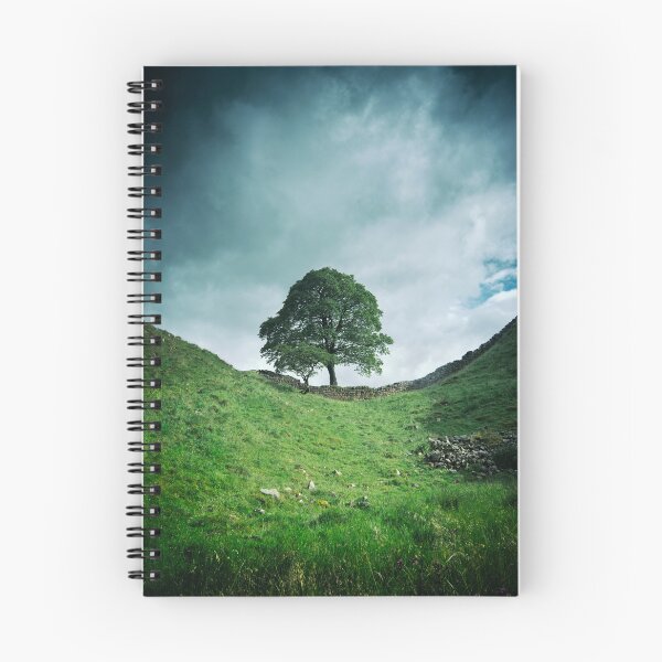 Item preview, The Tree at Sycamore Gap 3 designed and sold by David Lichtneker.