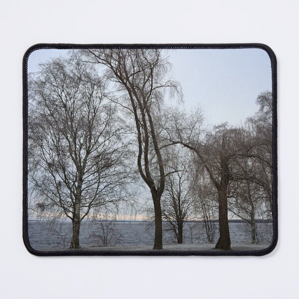 Item preview, Trees by the lake designed and sold by Jouko Lehto Photography.
