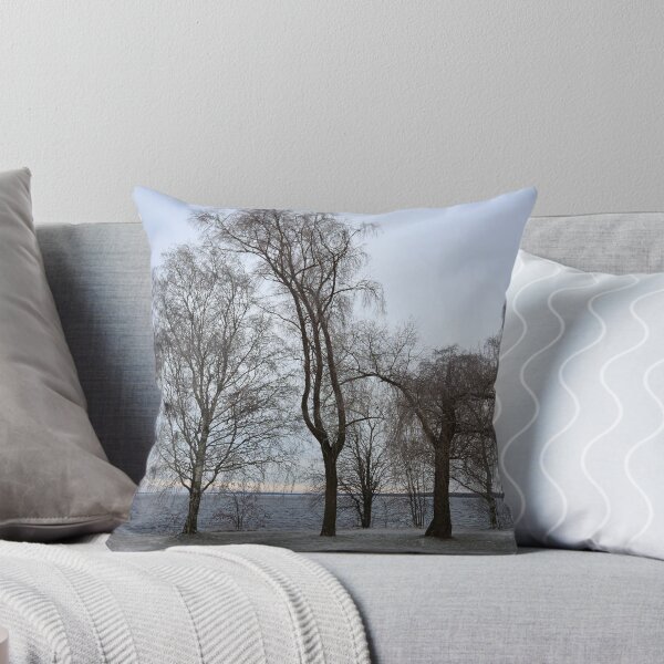 Item preview, Trees by the lake designed and sold by Jouko Lehto Photography.
