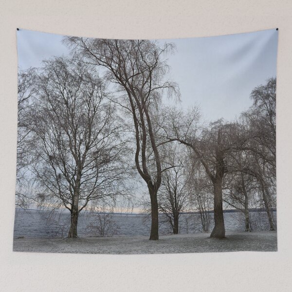 Item preview, Trees by the lake designed and sold by Jouko Lehto Photography.