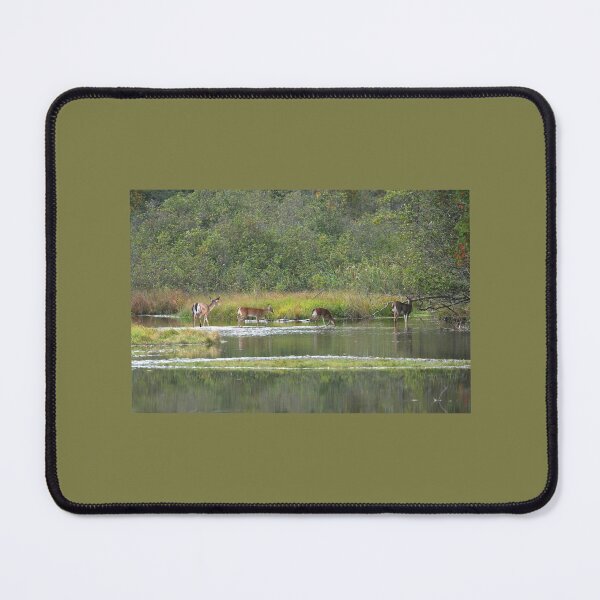 Item preview, Four Deer wading in a River designed and sold by PaulKPhoto.